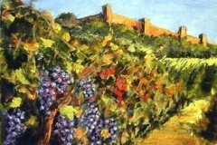 Vigneto in Toscana