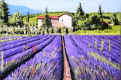 Provenza - Campo di lavanda